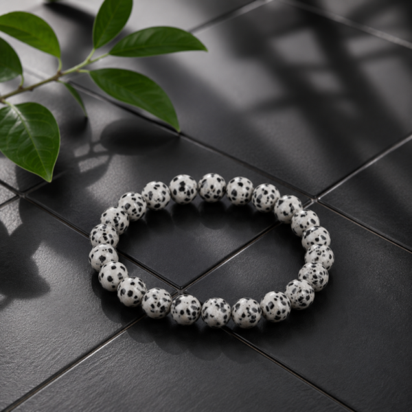 Dalmatain Jasper Braclete